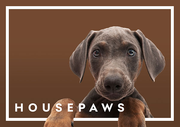 Housepaws