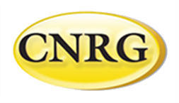 MS Central Network Retail Group Logo