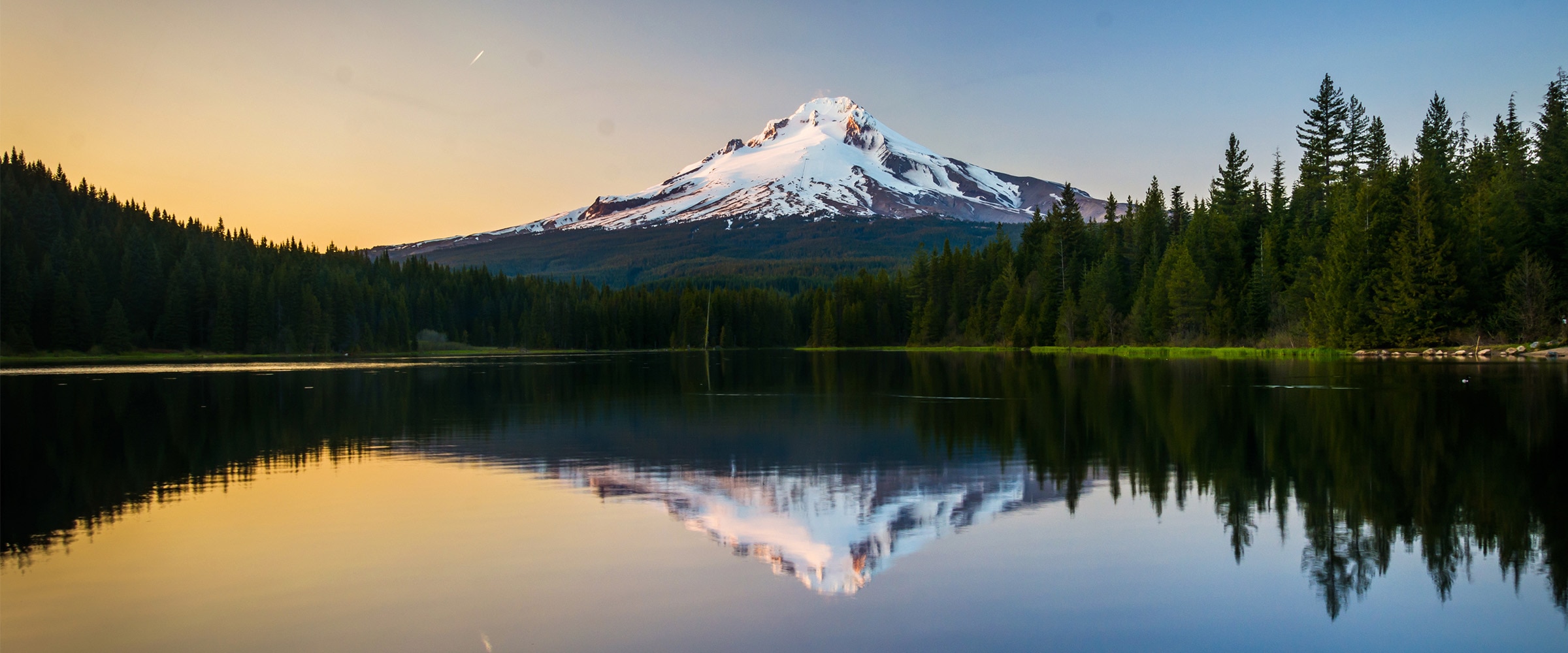 Photo of forest overlooked by snow-capped mountain.