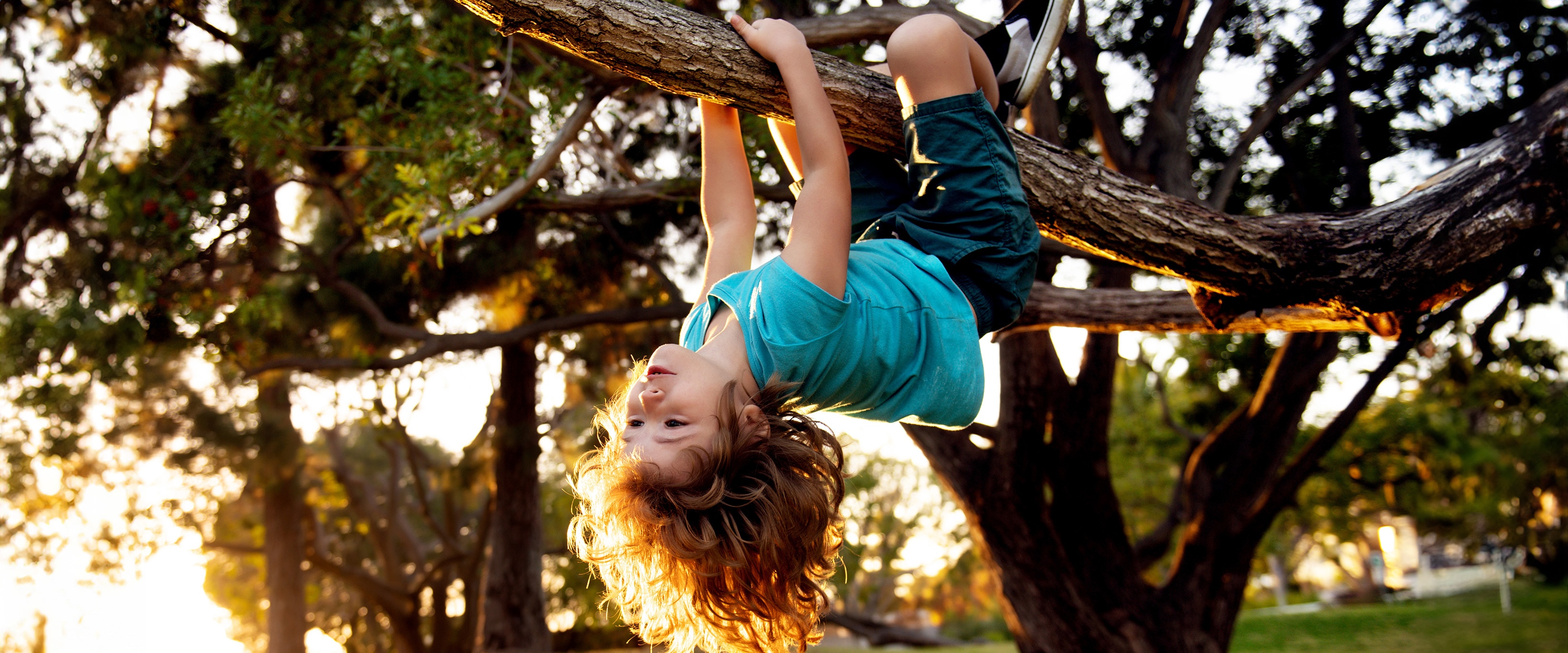 Photo of a child hanging upside down from a tree.