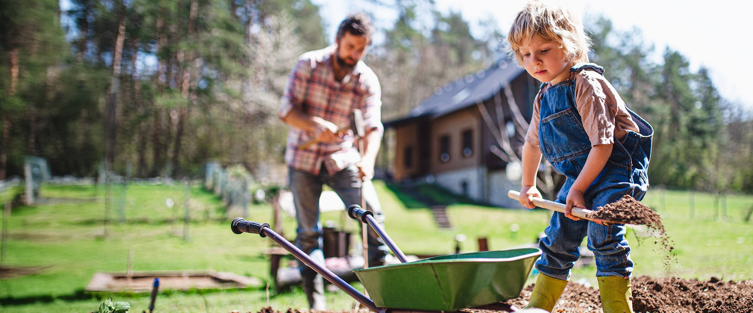Photo of dad and daughter planting a tree.