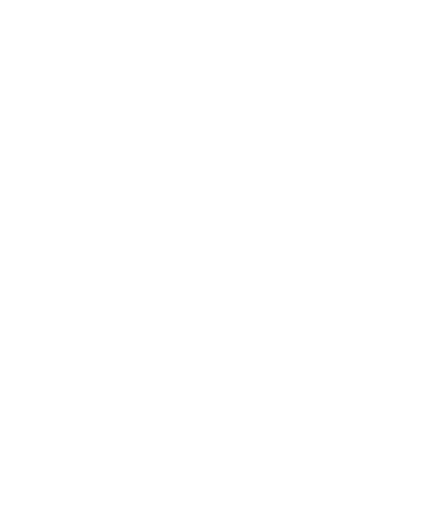 phone icon white